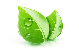 Bild mit grünen Baumblättern, die für Umweltbewusstsein stehen